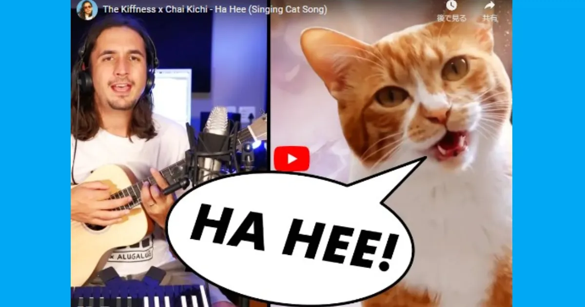 The Kiffness x Chai Kichi - Ha Hee (Singing Cat Song)